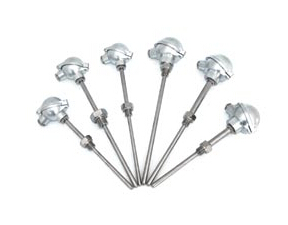 防爆防腐熱電阻