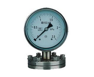 YP系列膜片式壓力表