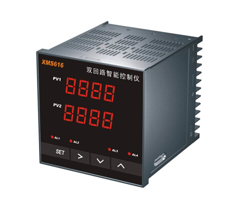 智能雙回路測(cè)控儀